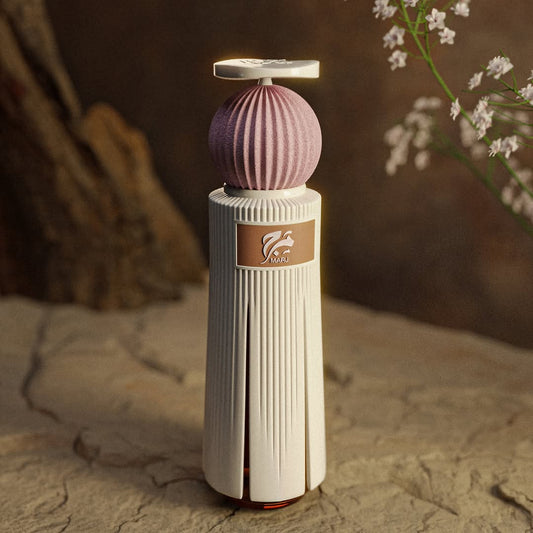 AHMED AL MAGHRIBI Marj